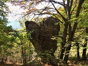 46 Roccione solitario nel bosco